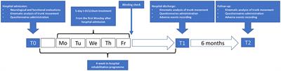 Non-Invasive Neuromodulation in the Rehabilitation of Pisa Syndrome in Parkinson's Disease: A Randomized Controlled Trial